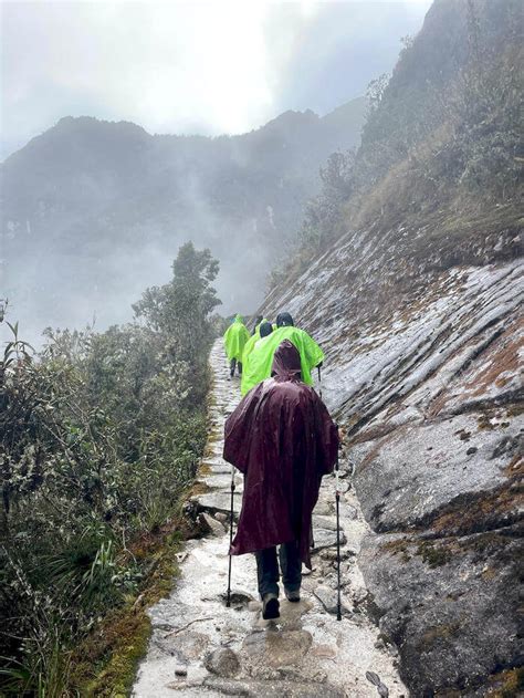Toradh íomhá ar Peru Backpack