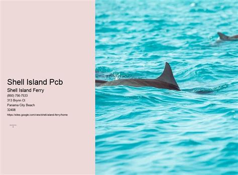 Toradh íomhá ar PCB Shell Island