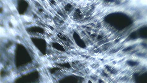 Résultat d’images pour Microscope Cleaning Objective Lens