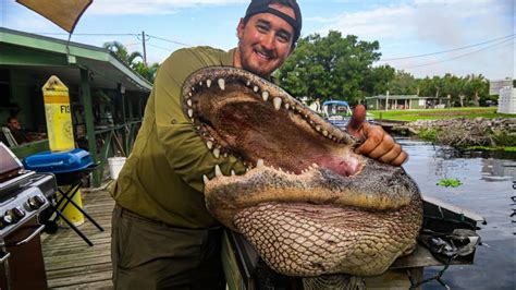 Afbeeldingsresultaten voor Alligator Catch Clean and Cook