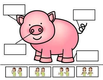 Afbeeldingsresultaten voor ASL Pig