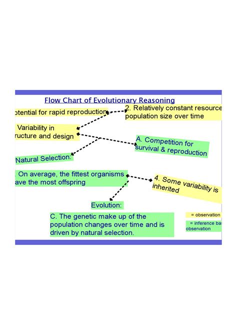 Image result for Different Evolution Optimization Flowchart