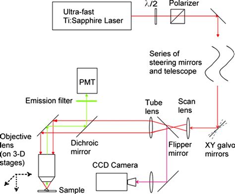 Image result for Microscope Schematic