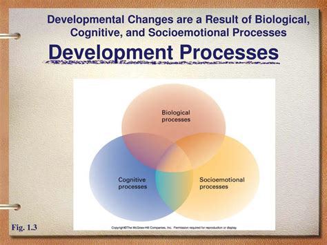 Image result for Adolescent Biological Development