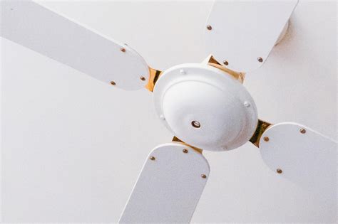 Ceiling Fan Store に対する画像結果