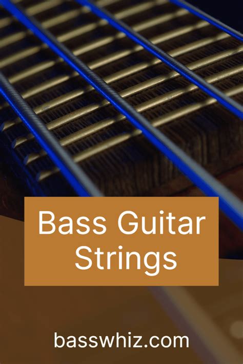 Image result for String Bass Strings Names