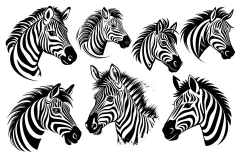 Toradh íomhá ar Zebra Creative Pack