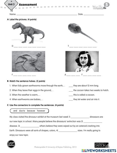 Image result for Lesson 3 Worksheet Class 5