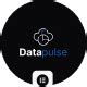 Image result for Datapulse Data Generator