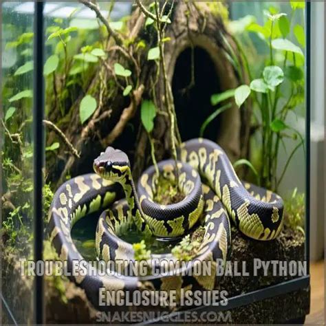 Image result for Bad Ball Python Enclosure