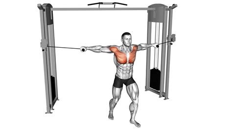 Image result for Bodybuilding Cable Exercises