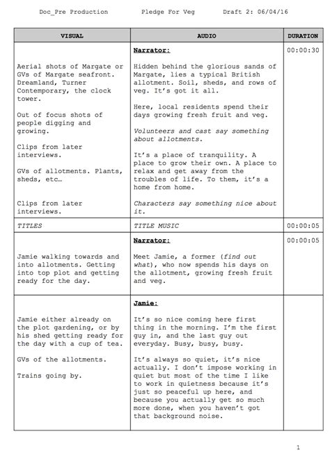 Toradh íomhá ar Draft TV Interview Script