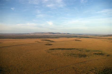 Toradh íomhá ar Plain Word Card