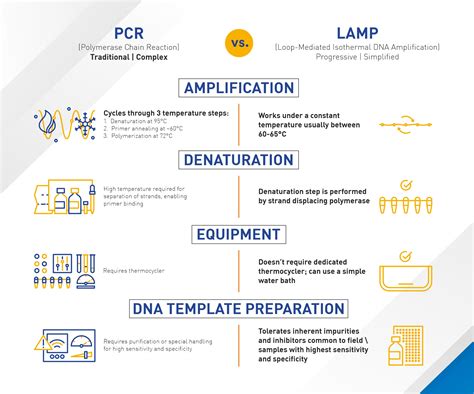 Lamp PCR に対する画像結果