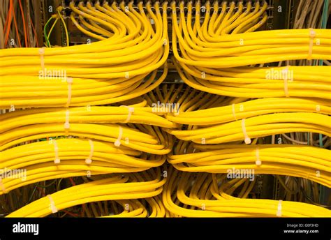Image result for Lan Patch Panel