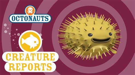 Octonauts Puffer Fish に対する画像結果