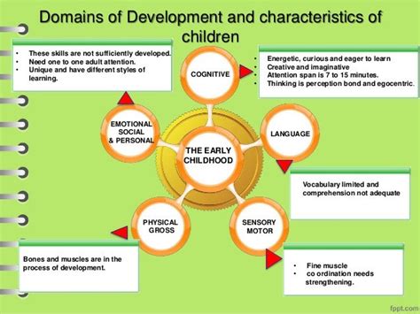 Image result for Physical Domain Examples