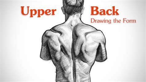 Image result for Back Profile Muscle Reference
