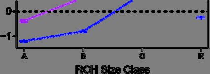 Image result for ROH Algorithm
