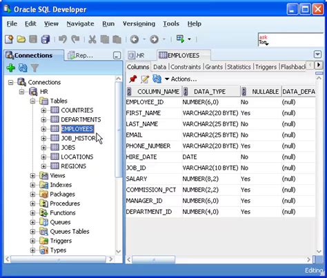 Where Is SQL Developer Tool Located に対する画像結果