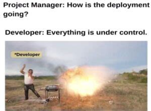 Bildergebnis für Project Manager vs Developer