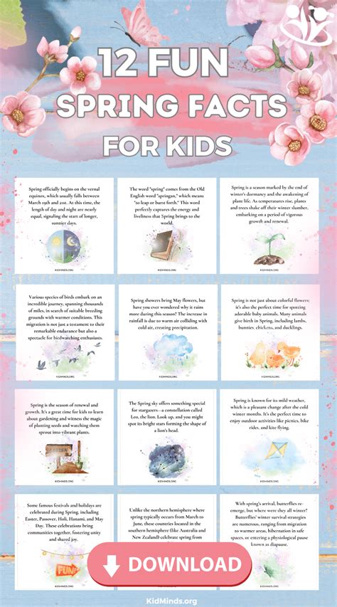 Image result for What Is Spring for Kids