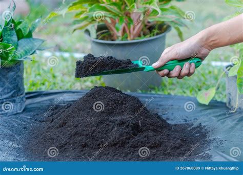 Toradh íomhá ar Compost Humus Mix