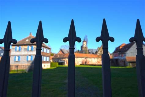 Privacy Fence Landscaping IDEAS | Landscape Ideas