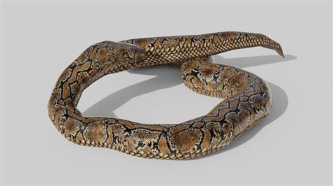 3D Model Toy for Python Snake に対する画像結果