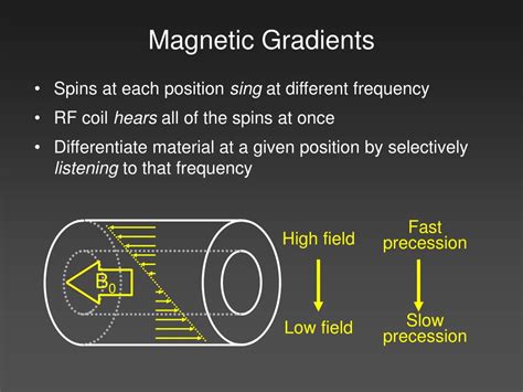 Image result for MRI Spatial Gradient Field Map