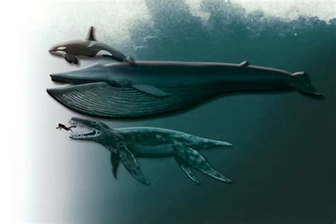 Afbeeldingsresultaten voor Pliosaurus Funkei