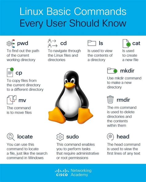 Image result for Linux User Commands