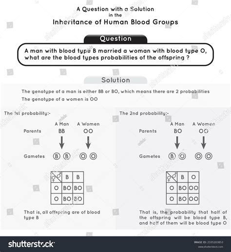 Afbeeldingsresultaten voor Genotype and Phenotype Interaction Diagram