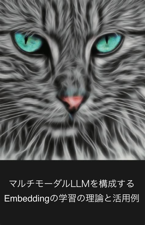 Image result for LMM Image Encoding