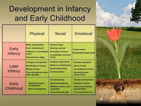 Image result for Infancy and Early Childhood Development