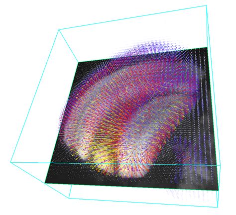 Image result for Draw Vectors Example