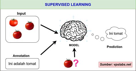 Image result for APA Itu Semi Supervised Learning