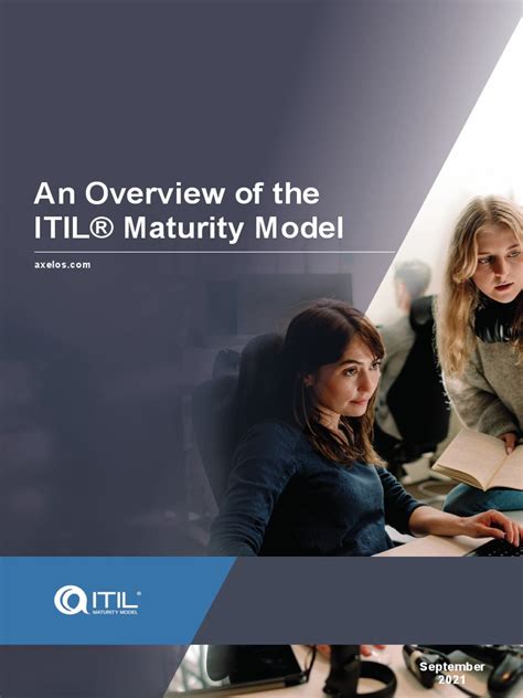 Maturity Model ITIL Process に対する画像結果