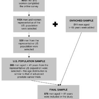 Toradh íomhá ar Scientific Sample Flowchart