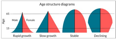 Toradh íomhá ar Causes of Aging Simple Diagram