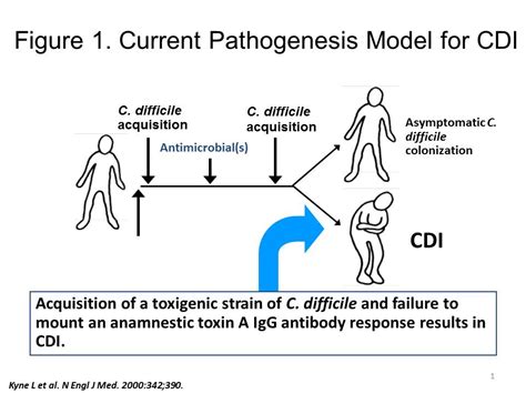 C. Difficile に対する画像結果