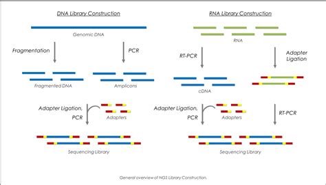 Sequencing Workflow-এর ছবি ফলাফল