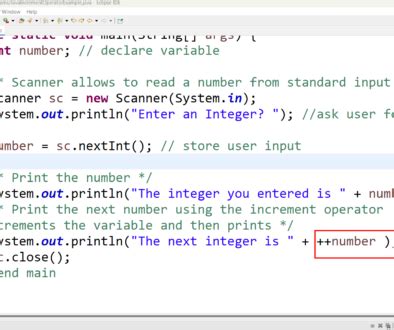 Image result for Increment Operator in Java