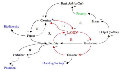 Image result for Causal Loop Diagram Coffee