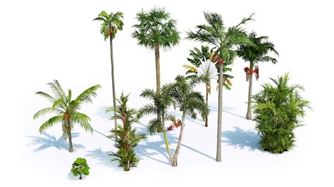 Image result for Laubwerk 3D Tree