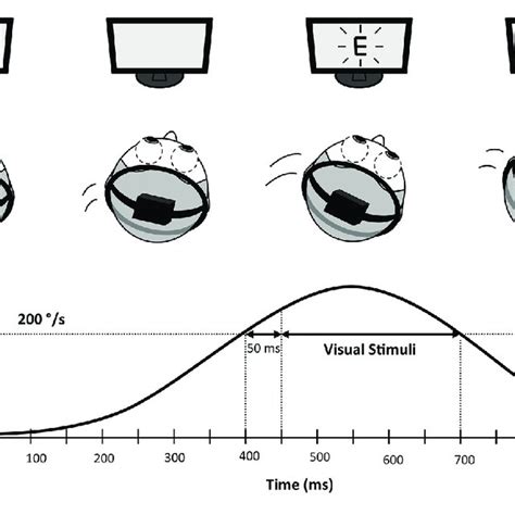 Image result for Dynamic Visual Acuity Chart