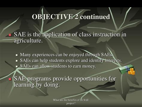 SAE Program に対する画像結果