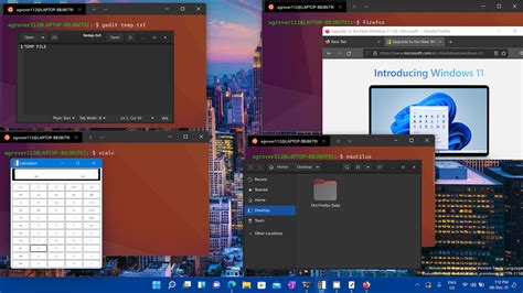 Image result for Linux GUI Program