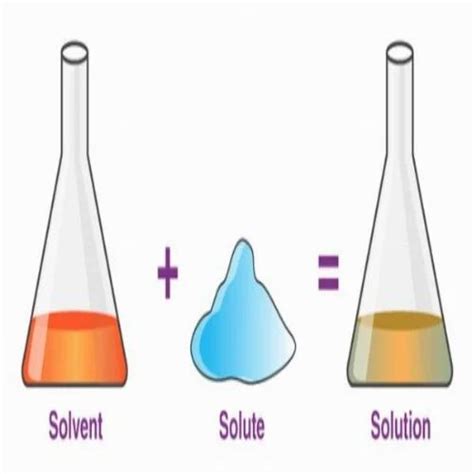 Example of Solvent に対する画像結果