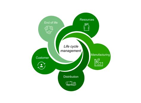 Image result for Life Cycle Management Detailed Components